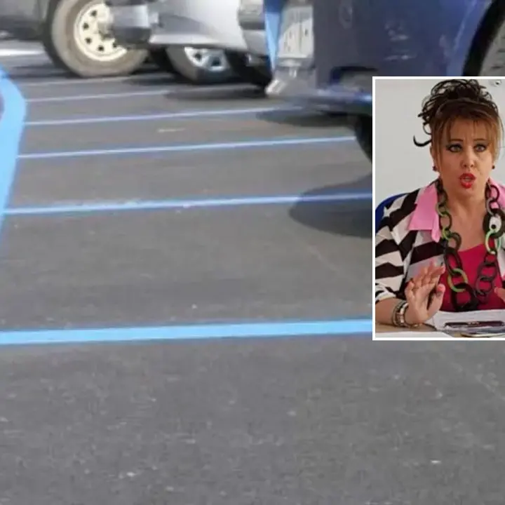 Sosta a pagamento, Petracca (Pd): «A\u00A0Vibo troppe multe». E chiede più controlli\u00A0ma ora è anche un consigliere di maggioranza\u00A0\n