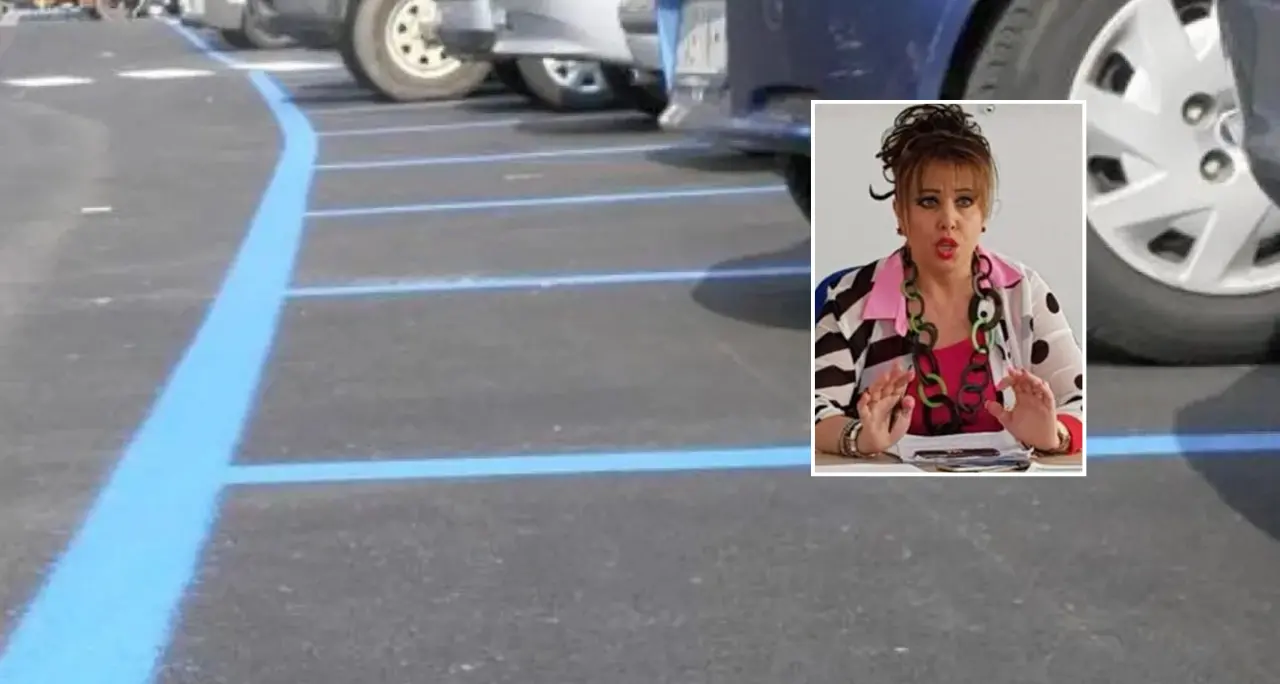 Sosta a pagamento, Petracca (Pd): «A\u00A0Vibo troppe multe». E chiede più controlli\u00A0ma ora è anche un consigliere di maggioranza\u00A0\n