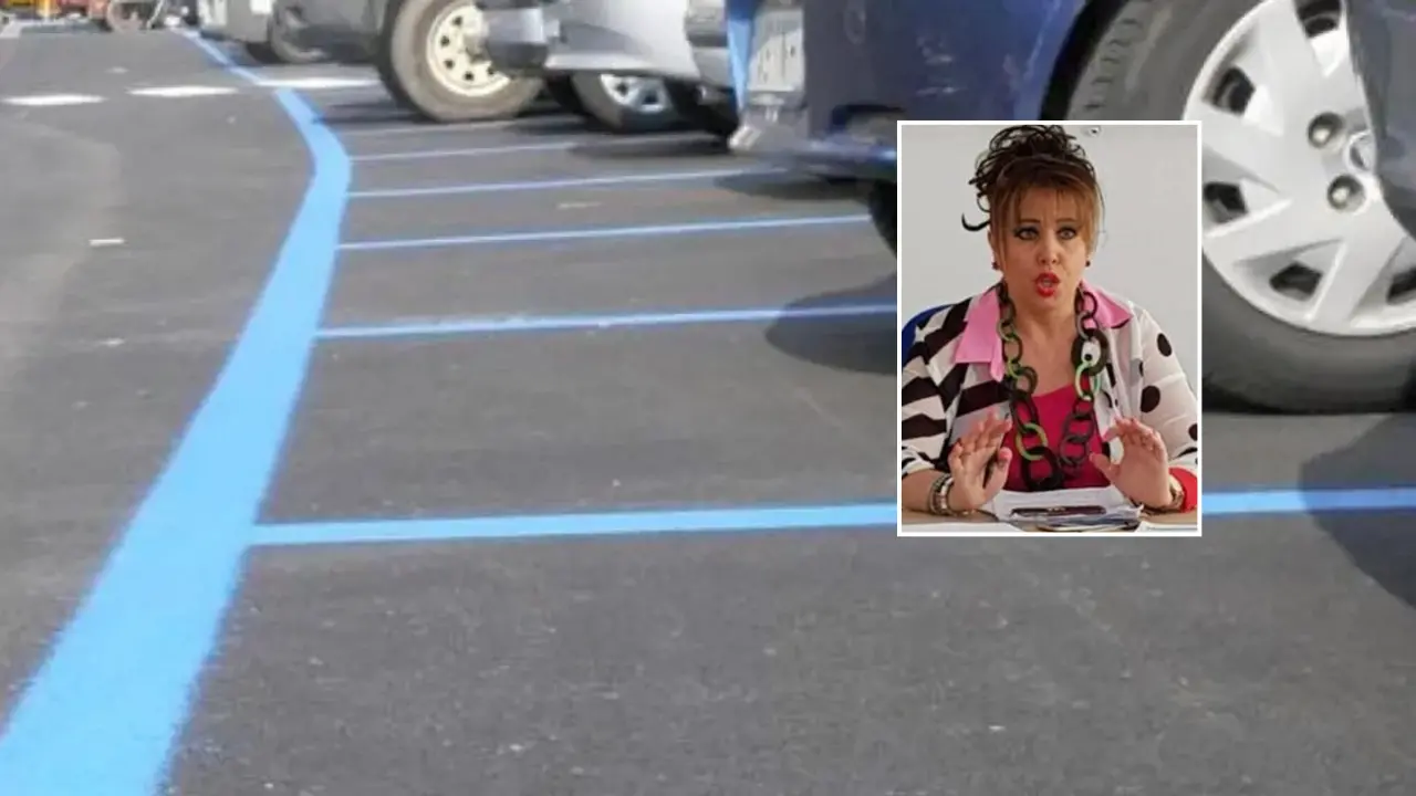 Sosta a pagamento, Petracca (Pd): «A\u00A0Vibo troppe multe». E chiede più controlli\u00A0ma ora è anche un consigliere di maggioranza\u00A0\n