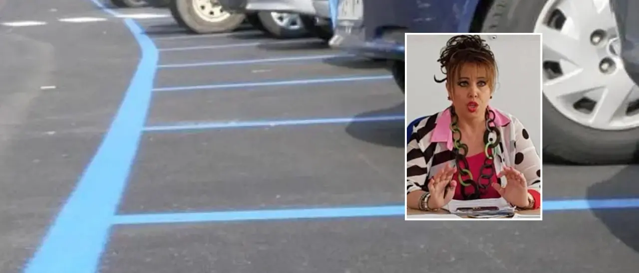 Sosta a pagamento, Petracca (Pd): «A\u00A0Vibo troppe multe». E chiede più controlli\u00A0ma ora è anche un consigliere di maggioranza\u00A0\n