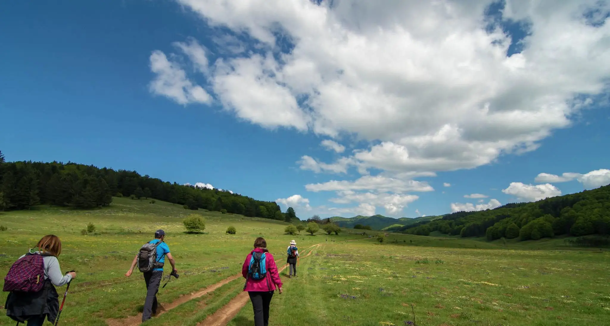 Ecoritmi Culturali: cultura, natura e spiritualità nel cuore della Sila\n