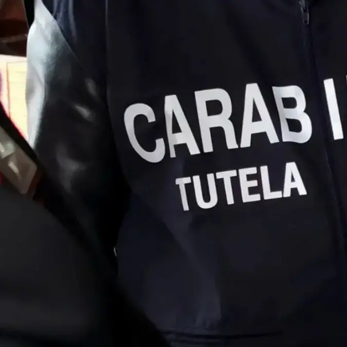 Irregolarità e lavoro nero, plauso Cisl Magna Grecia per operazioni dei carabinieri\n