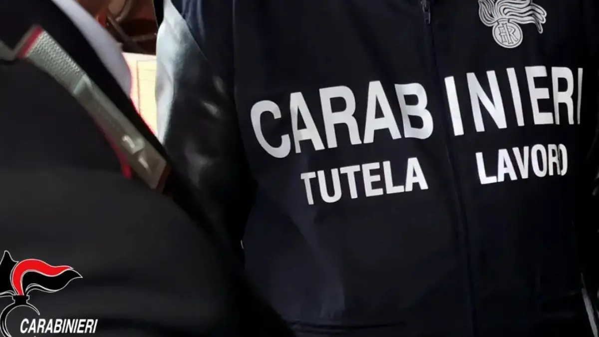 Irregolarità e lavoro nero, plauso Cisl Magna Grecia per operazioni dei carabinieri\n