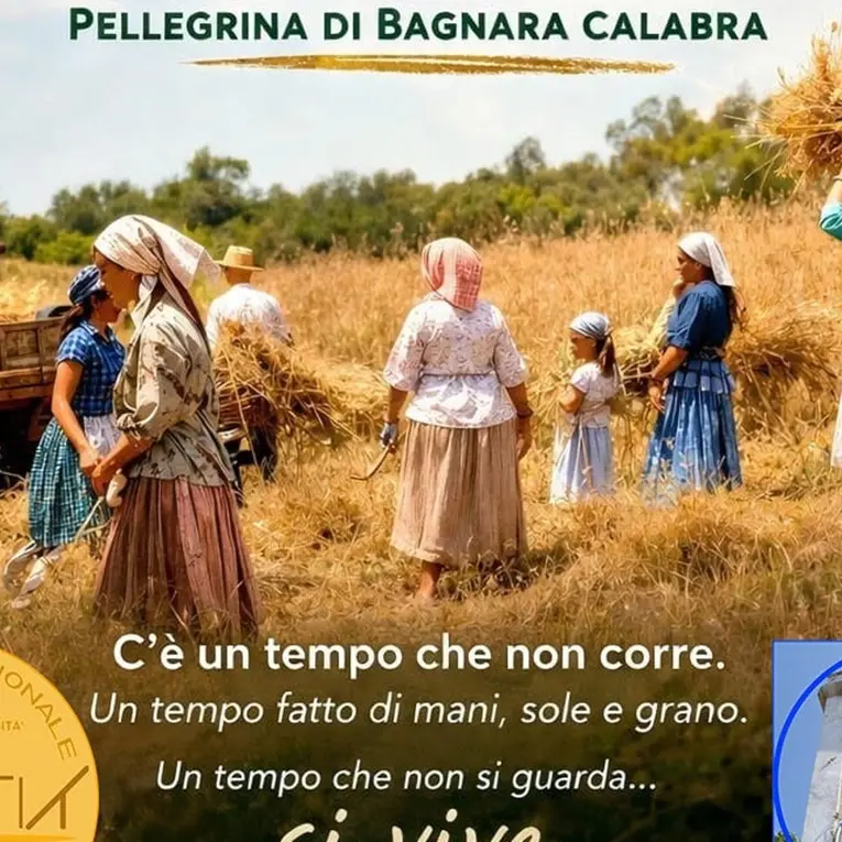 Pellegrina\u00A0di Bagnara si prepara per la\u00A0VI Festa della Mietitura\n