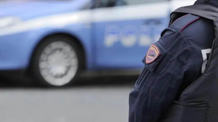 <p>Foto di repertorio</p>\\n , ANSA