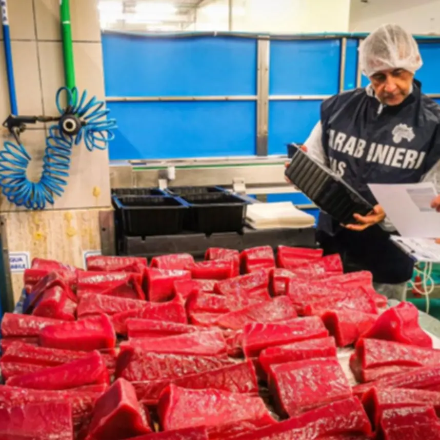 <p><span style=\"color:hsl(0, 75%, 60%);\">Nas di Catanzaro</span>, blitz in una pescheria del capoluogo: sequestrati 15 chili di prodotti ittici senza tracciabilità  </p>