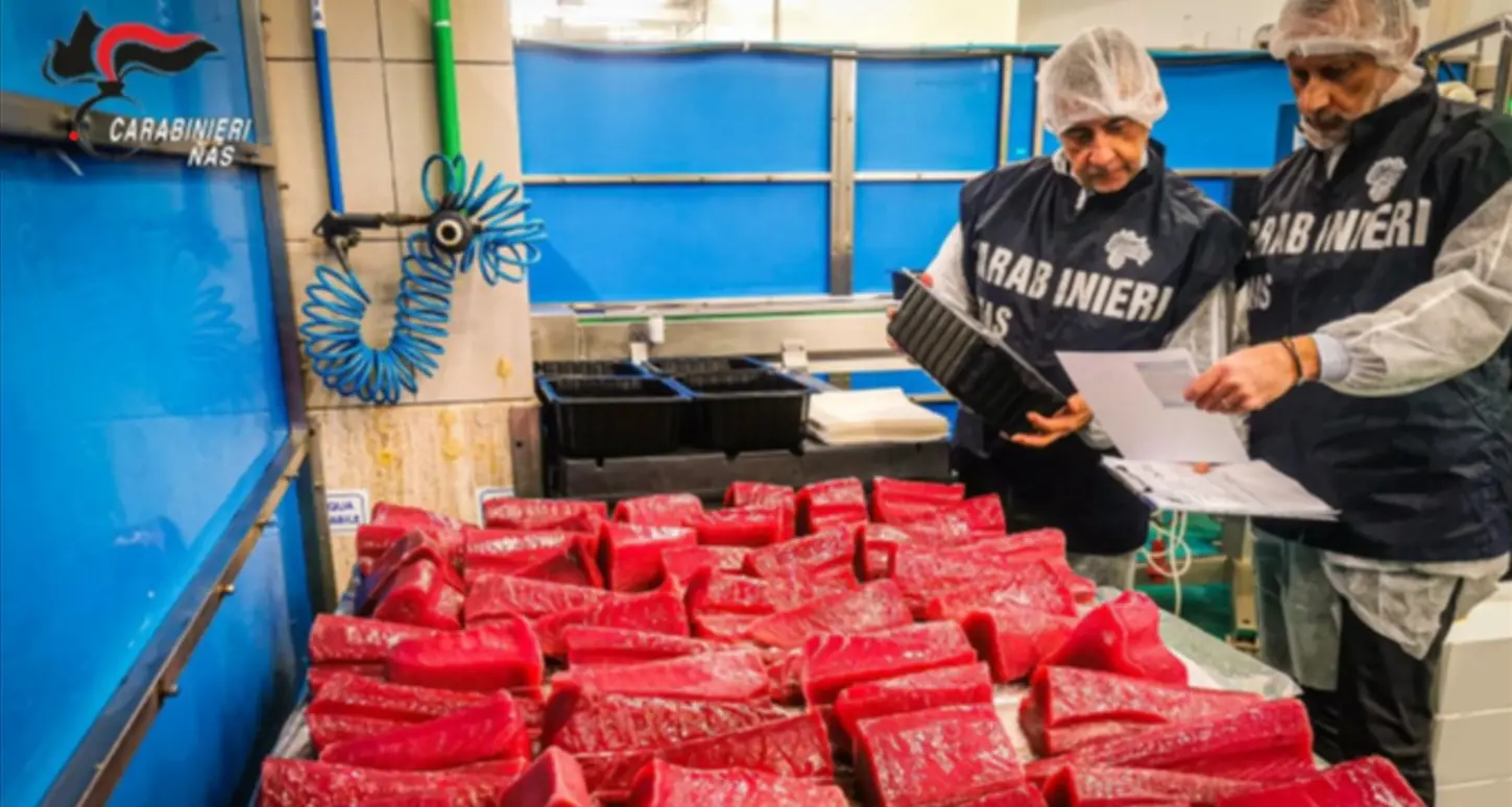 Nas di Catanzaro, blitz in una pescheria del capoluogo: sequestrati 15 chili di prodotti ittici senza tracciabilità