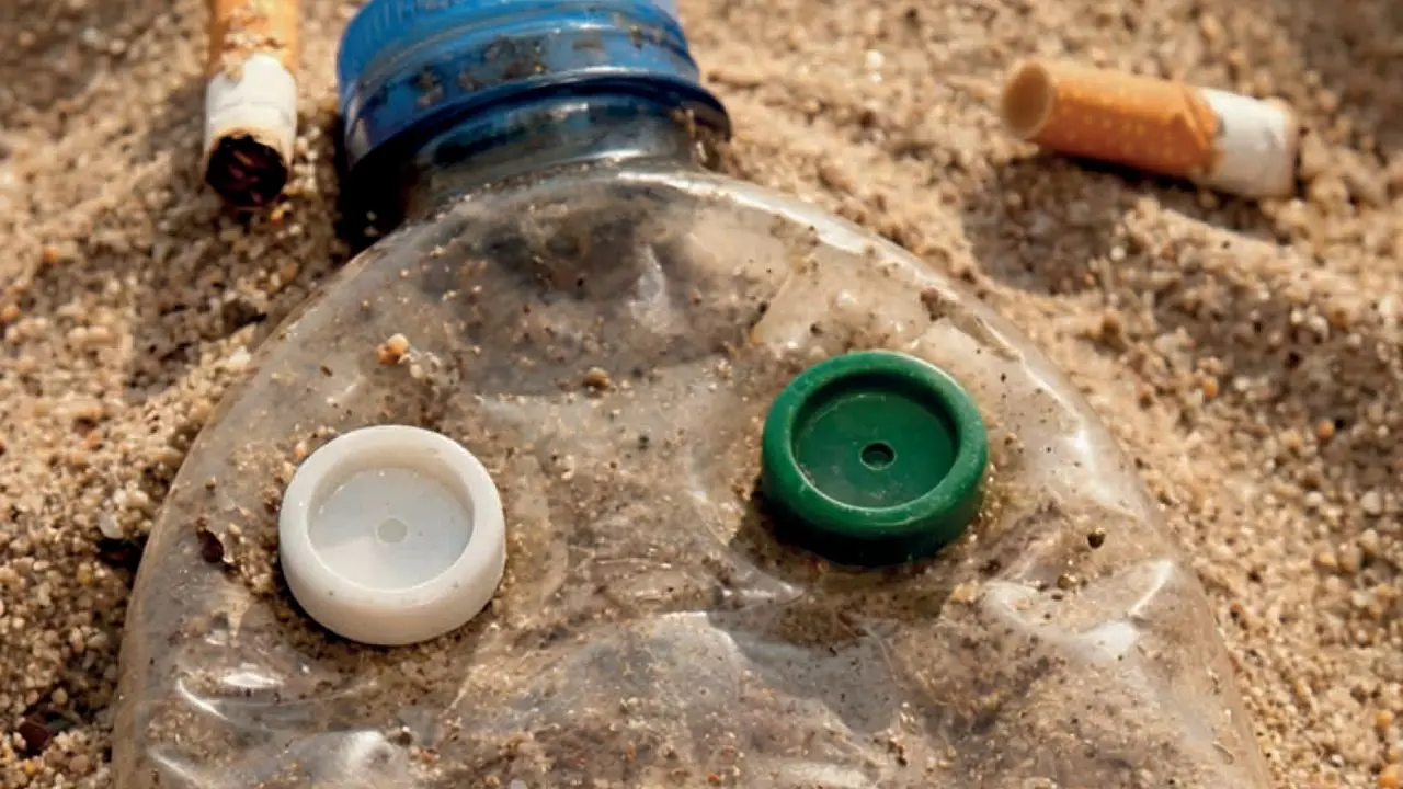 Mozziconi e plastica invadono le spiagge, anche in Calabria scatta la mobilitazione di Legambiente per la Giornata del mare\n