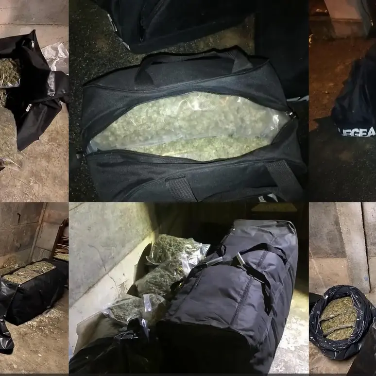 ’Ndrangheta, i\u00A0clan delle Preserre vibonesi tra droga, armi e intimidazioni: i nomi di tutti gli arrestati e gli indagati\n