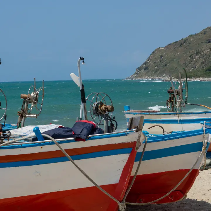 Bivona, pescatori e Coldiretti a confronto: nodi aperti tra costi, quote tonno e futuro del comparto\n