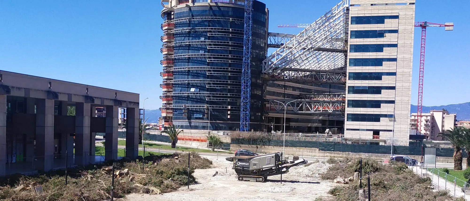 Taglio di alberi a Reggio Calabria, Europa Verde denuncia: «Spariti i Brachychiton e i Ficus»\n