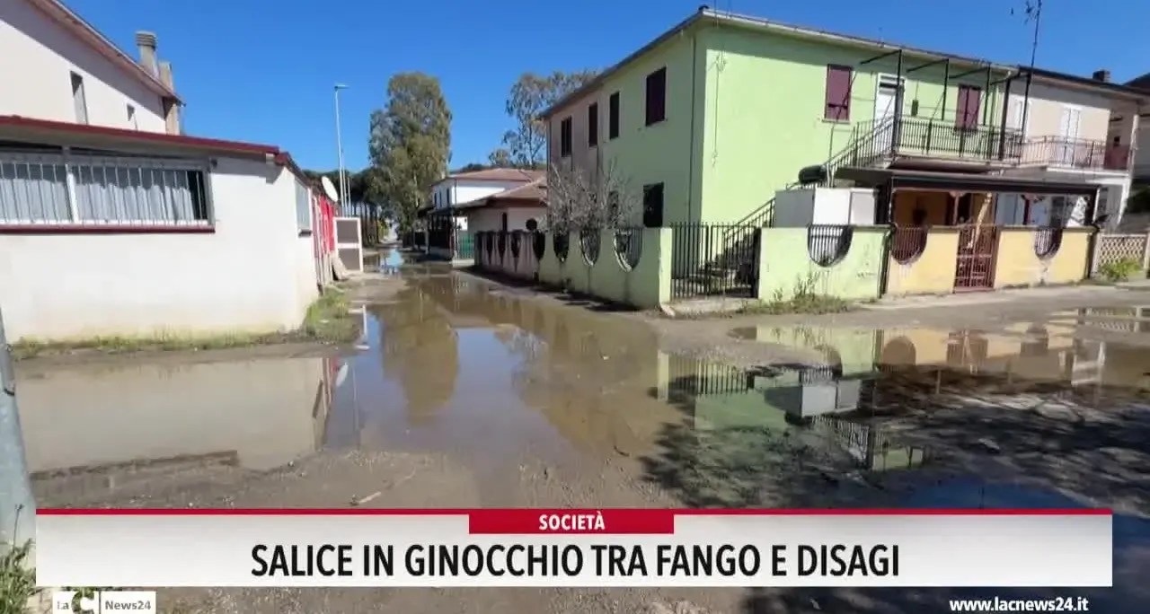 Salice in ginocchio tra fango e disagi