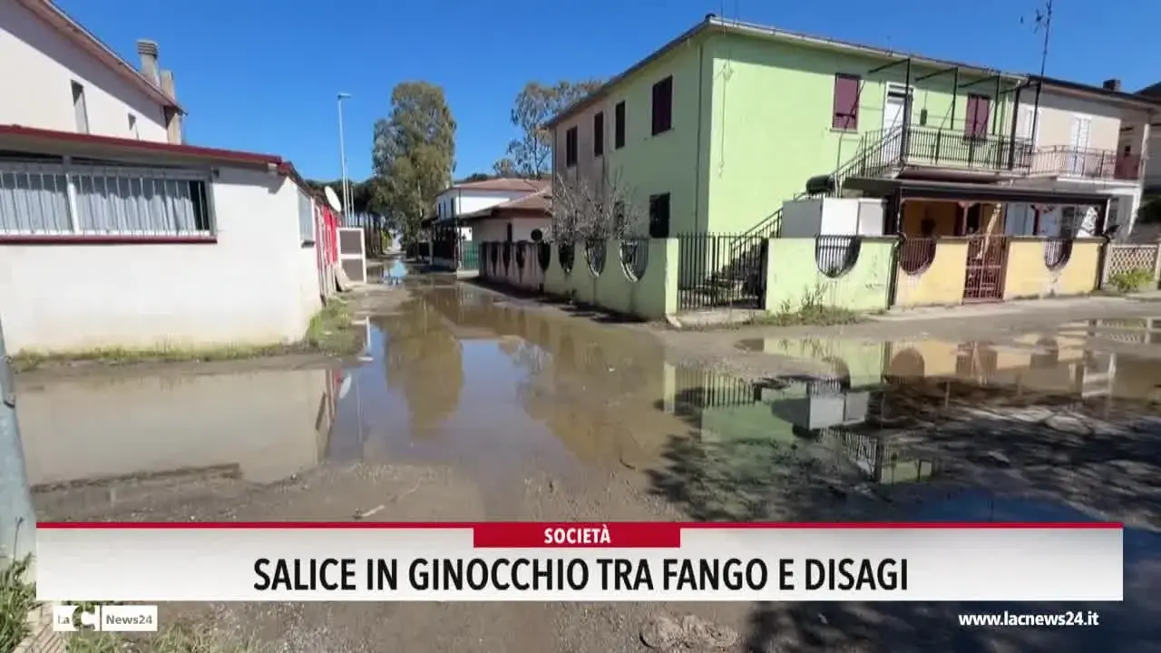 Salice in ginocchio tra fango e disagi