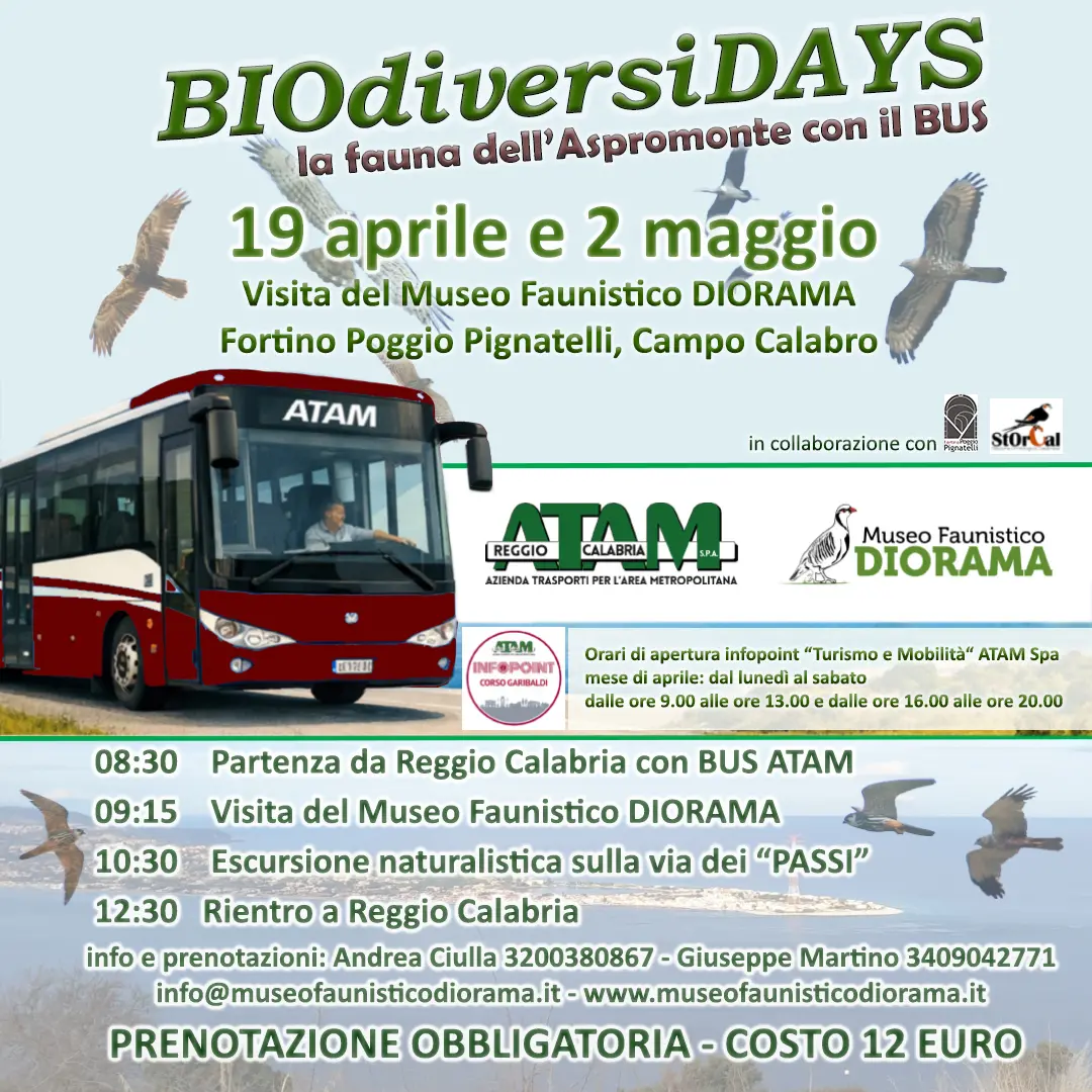 Nascono i “BIOdiversiDAYs”: la fauna dell’Aspromonte si scopre… in bus\n