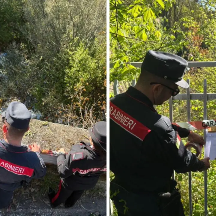 Discarica abusiva scoperta a Lamezia,\u00A0rifiuti e rottami in area verde: scatta il sequestro\n