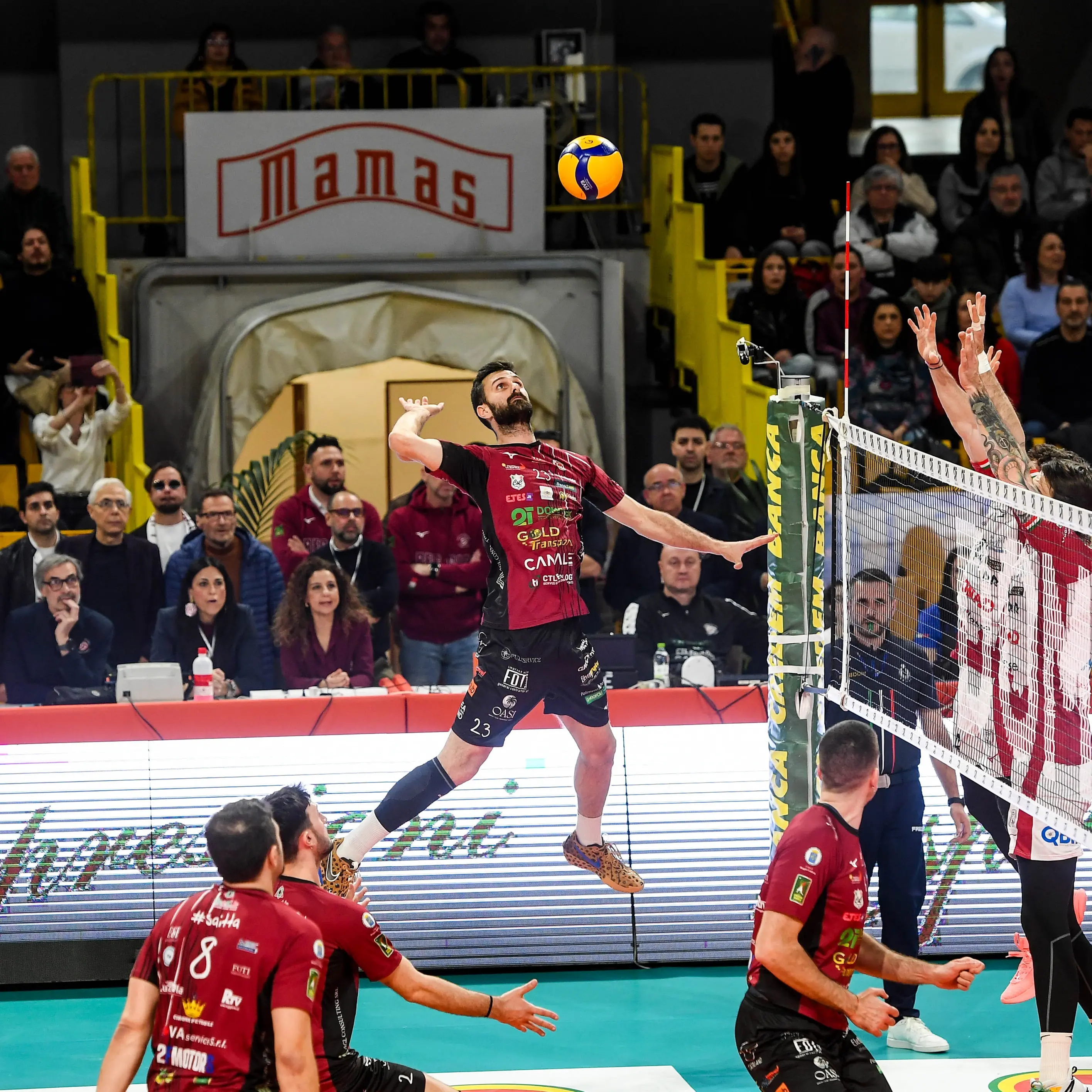 Domotek, dentro o fuori con la Conad: «Siamo pronti a riaccenderci con il nostro pubblico»\n