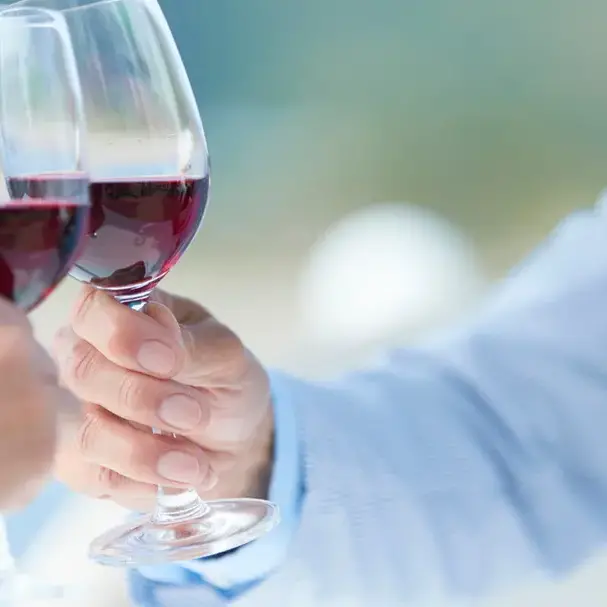 Cirò, 11 medaglie per i vini calabresi al Concorso mondiale di Bruxelles. Gallo: «Comparto rilanciato»\n