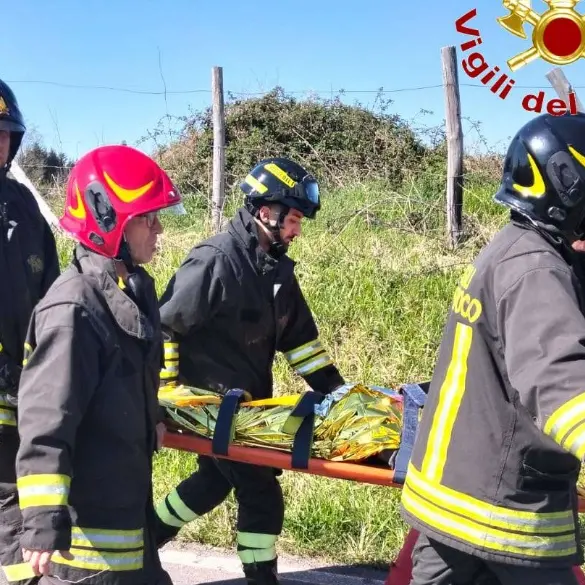 <p>Incidente nel Vibonese, motocarro finisce in una scarpata: un ferito</p>