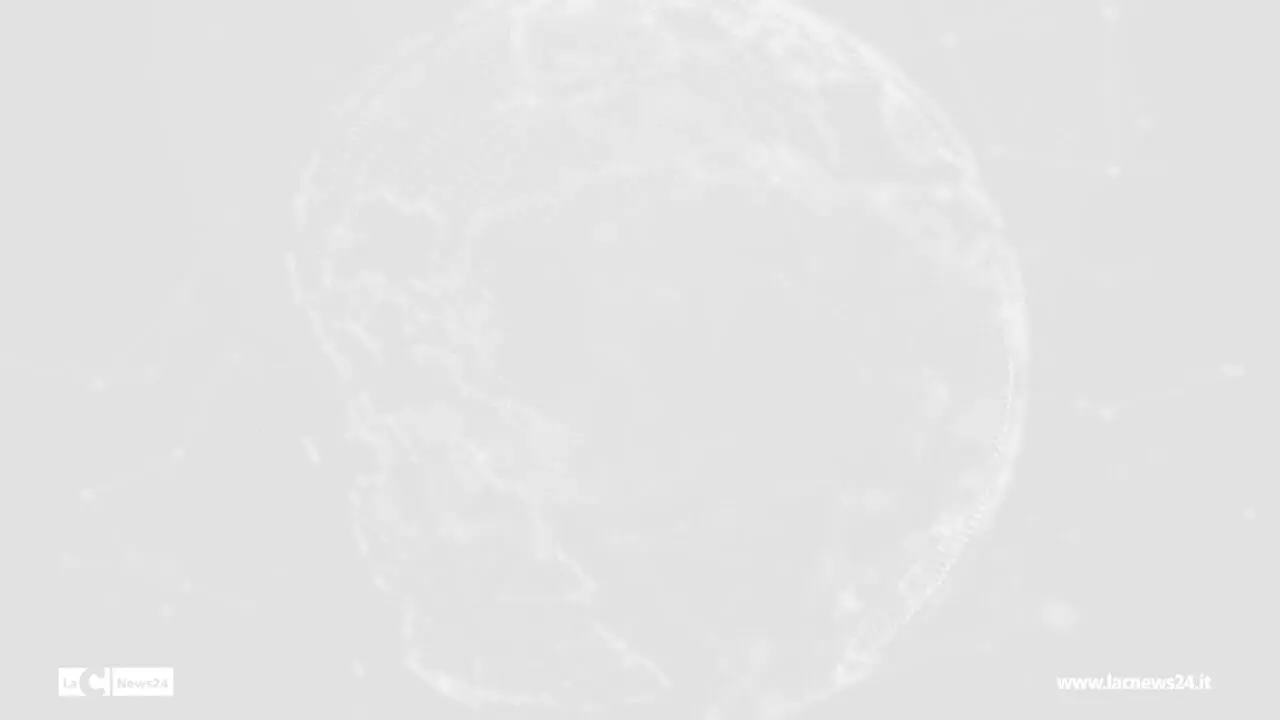 global sumud flotilla per gaza a reggio due attivisti