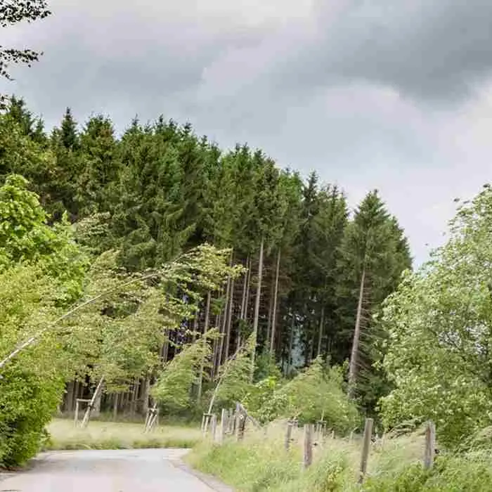 Maltempo, Calabria osservata speciale per i venti: l’allerta della Protezione Civile prevede\u00A0raffiche intense e mareggiate\n