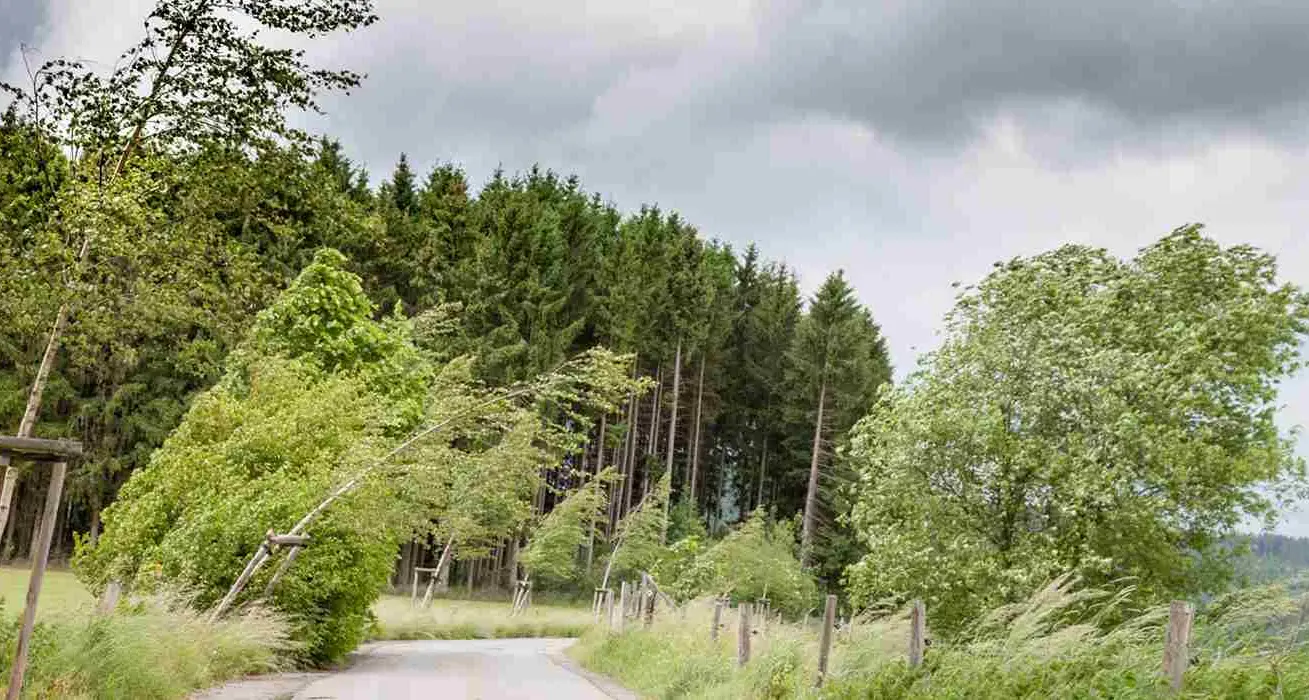 Maltempo, Calabria osservata speciale per i venti: l’allerta della Protezione Civile prevede\u00A0raffiche intense e mareggiate\n