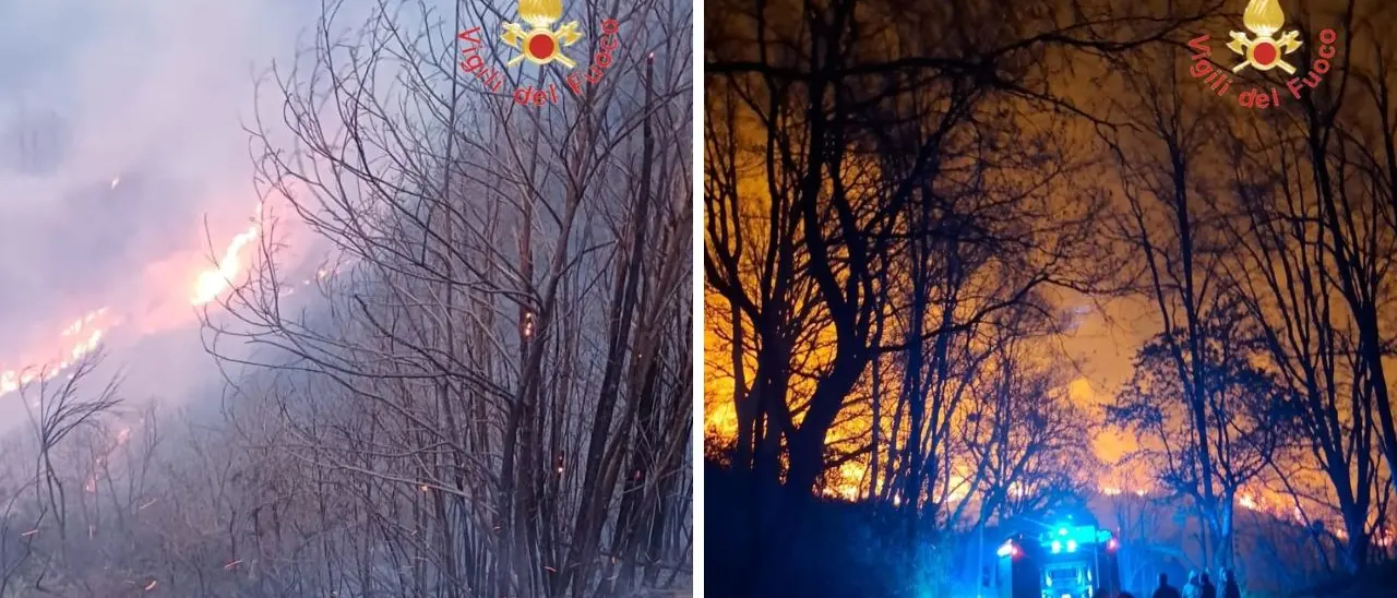 Vasto incendio tra Martirano e Conflenti: vigili del fuoco al lavoro dalla serata di ieri\n