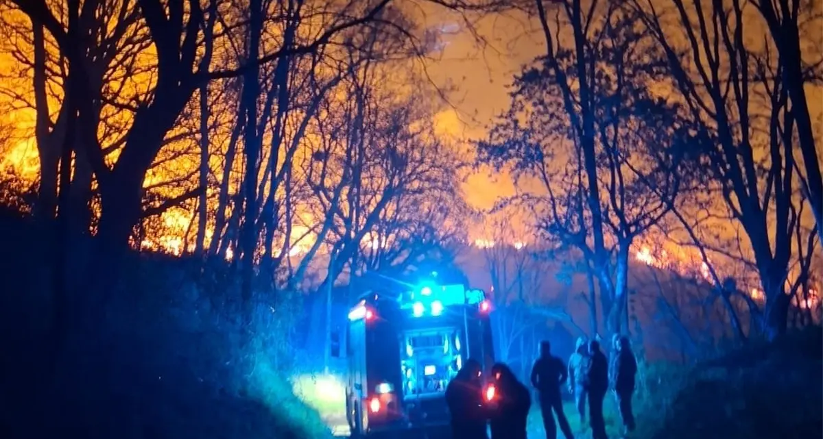 Incendio tra le montagne del Reventino, Vigili del fuoco in azione tutta la notte\n