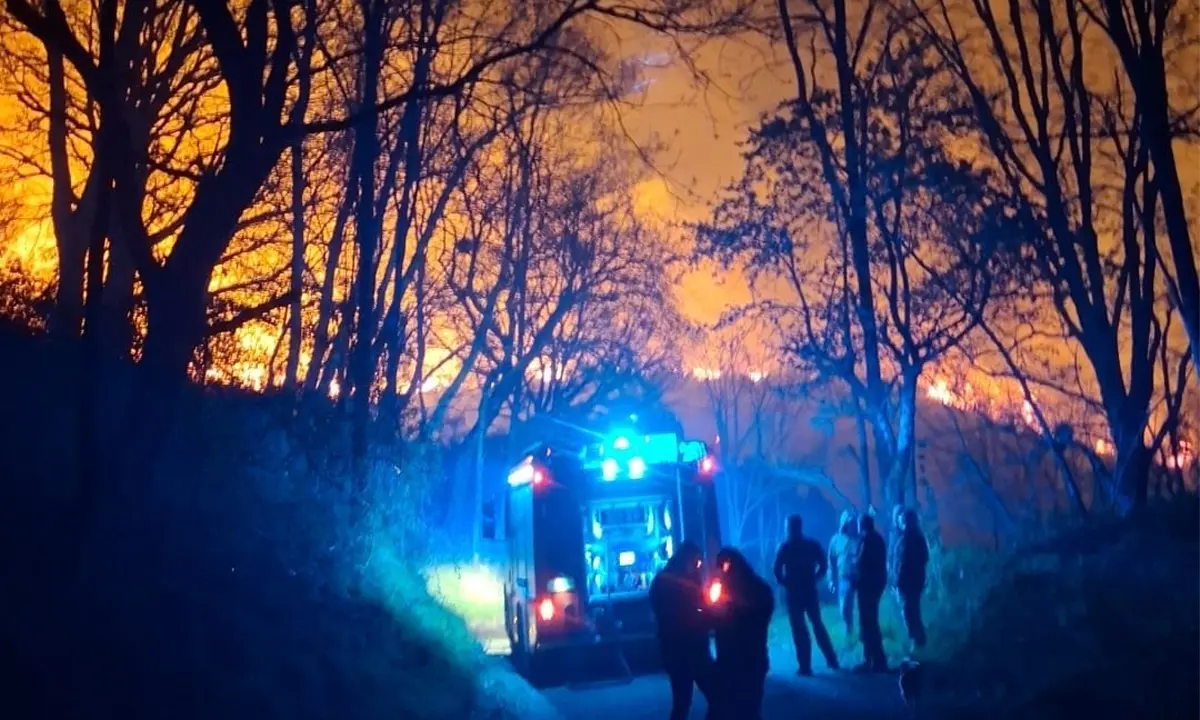 Incendio tra le montagne del Reventino, Vigili del fuoco in azione tutta la notte\n