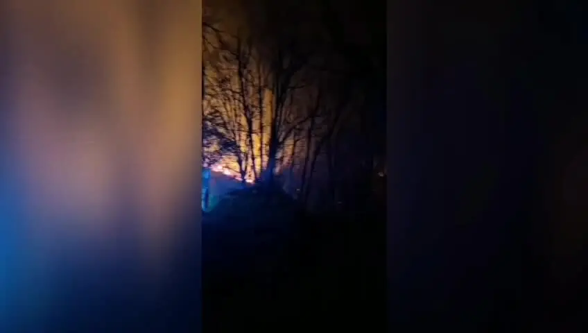 Incendio tra Martirano e Conflenti