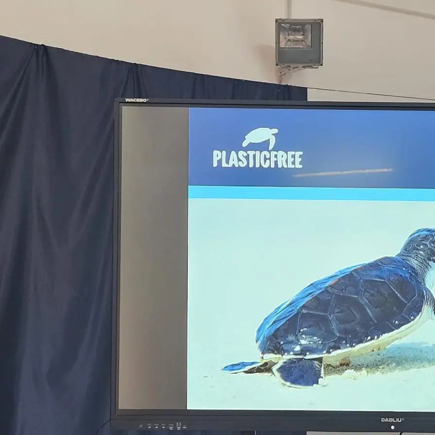 Gioia Tauro celebra l’Earth Day: studenti protagonisti del cleanup promosso da Plastic Free\n