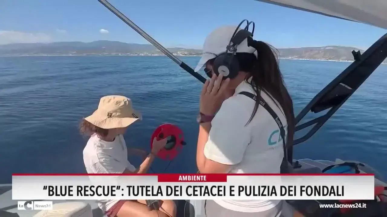 Blue Rescue: tutela dei cetacei e pulizia dei fondali