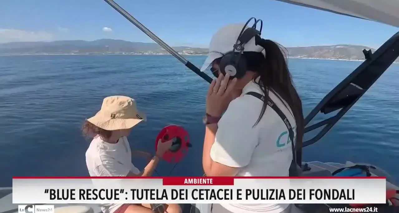 Blue Rescue: tutela dei cetacei e pulizia dei fondali