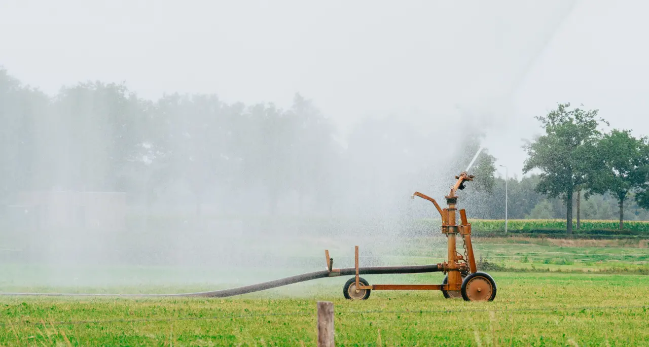 Emergenza idrica, l’allarme degli agricoltori calabresi: «Un errore svuotare i bacini lasciando che l’acqua finisca in mare»\n