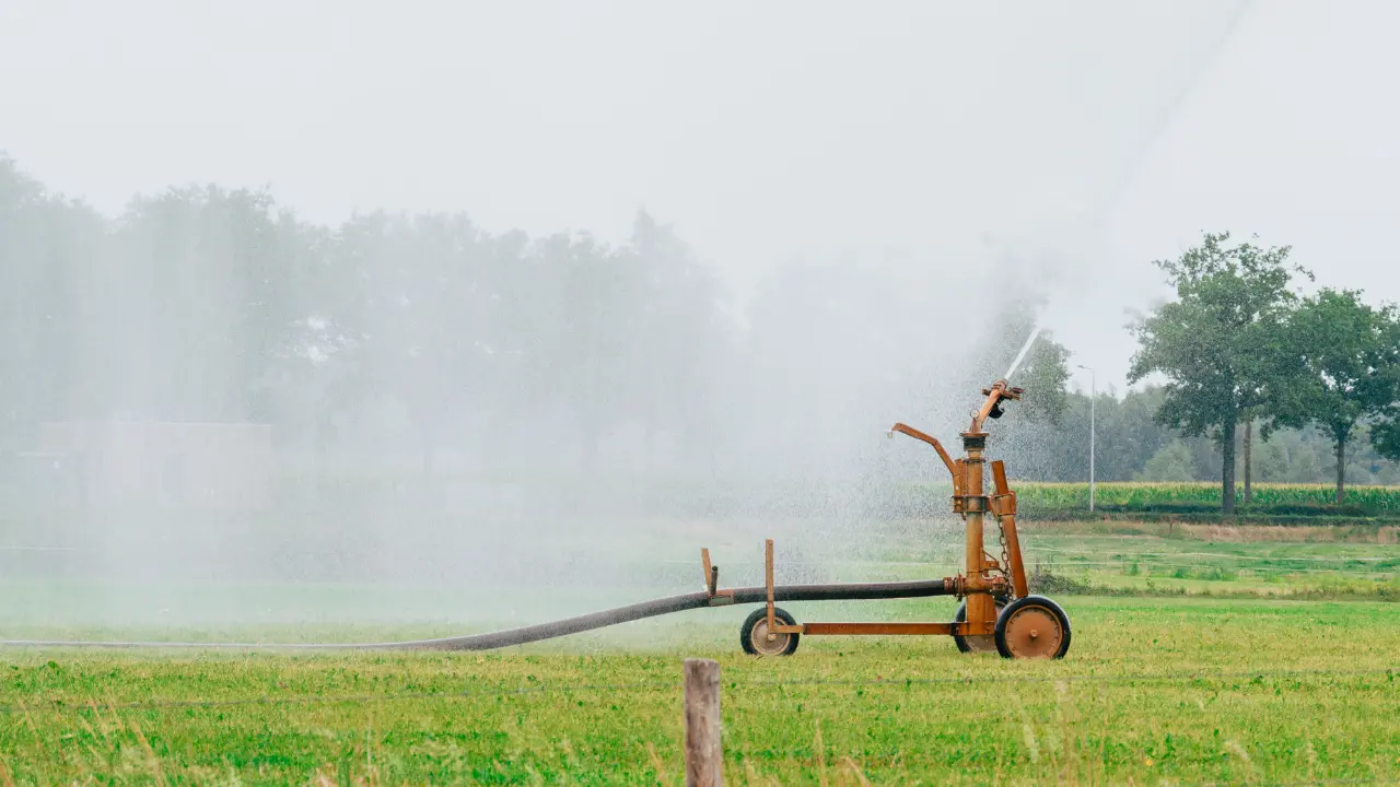 Emergenza idrica, l’allarme degli agricoltori calabresi: «Un errore svuotare i bacini lasciando che l’acqua finisca in mare»\n