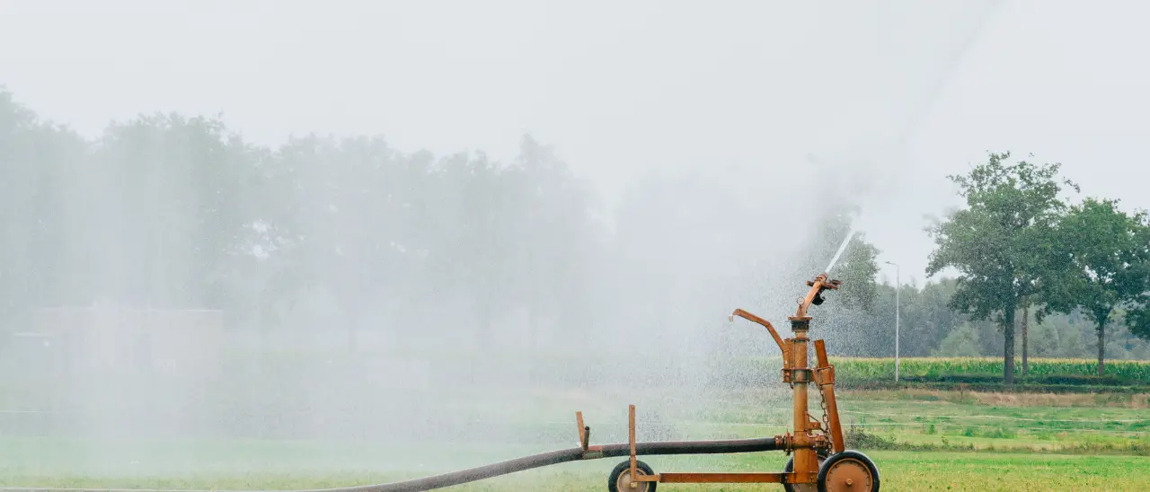 Emergenza idrica, l’allarme degli agricoltori calabresi: «Un errore svuotare i bacini lasciando che l’acqua finisca in mare»\n