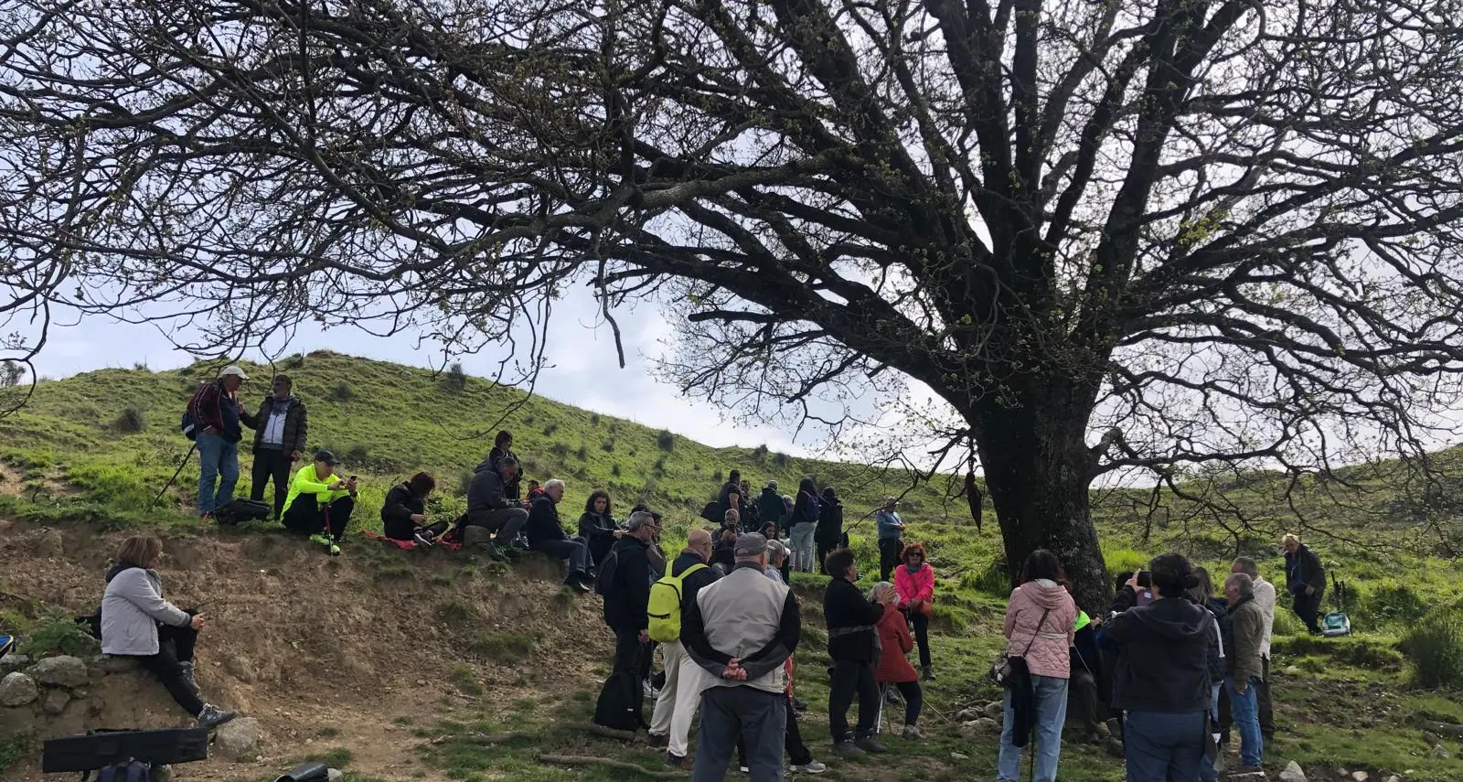 Il Sentiero delle Orchidee torna a fiorire: al via la II\u00A0edizione del Festival delle Orchidee tra Gasperina, Palermiti e Montauro\n