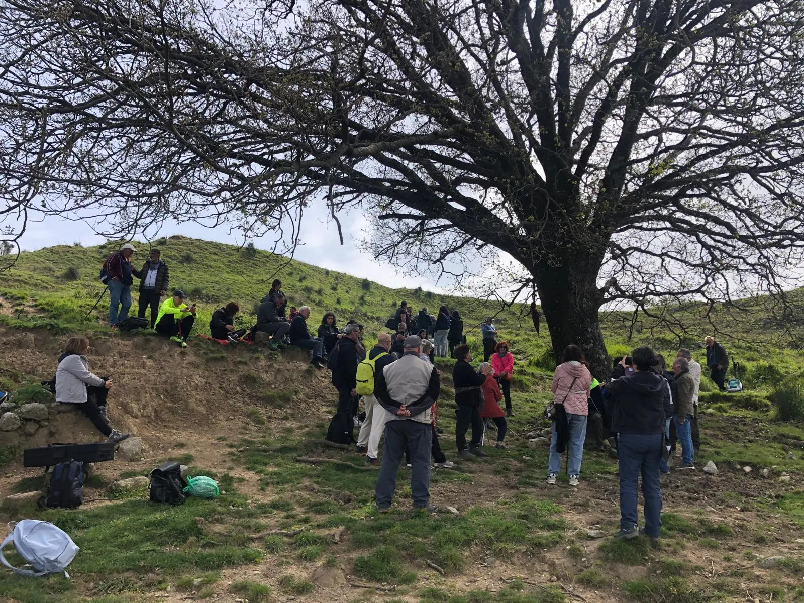 Il Sentiero delle Orchidee torna a fiorire: al via la II\u00A0edizione del Festival delle Orchidee tra Gasperina, Palermiti e Montauro\n