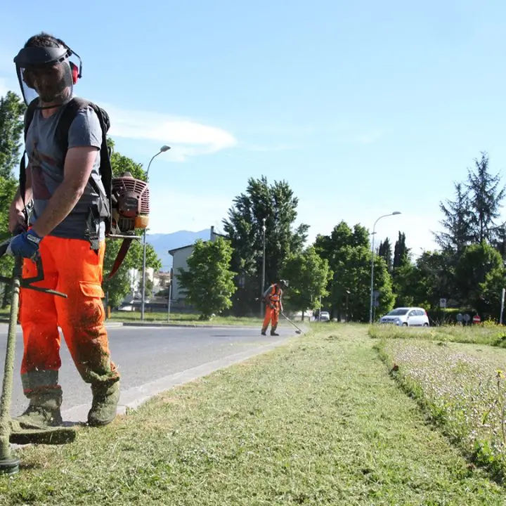 Terranova da Sibari, graduatoria provvisoria per quattro assunzioni al Comune\n