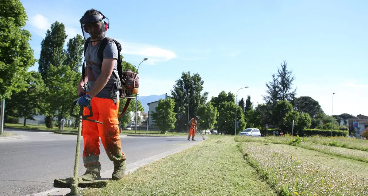 Terranova da Sibari, graduatoria provvisoria per quattro assunzioni al Comune\n