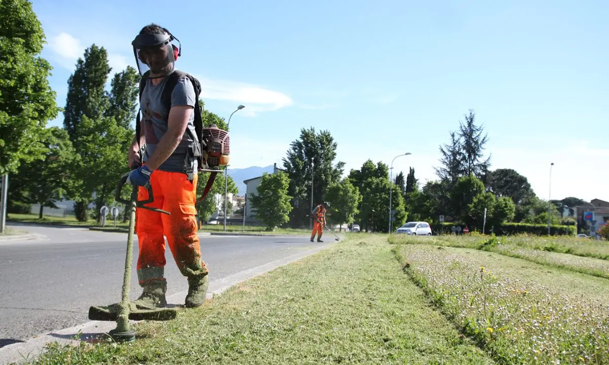 Terranova da Sibari, graduatoria provvisoria per quattro assunzioni al Comune\n