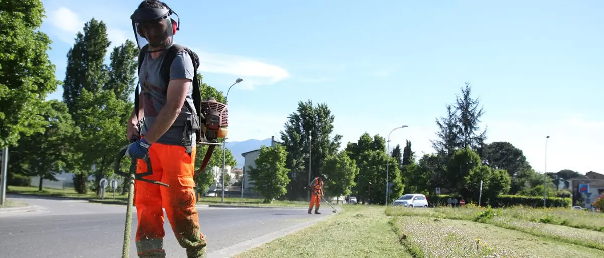 Terranova da Sibari, graduatoria provvisoria per quattro assunzioni al Comune\n