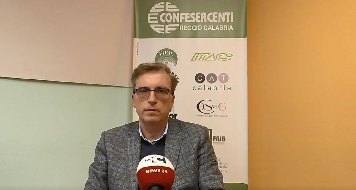 Commercio online, Confesercenti Reggio Calabria: «Servono controlli più incisivi e regole uguali per tutti»\n