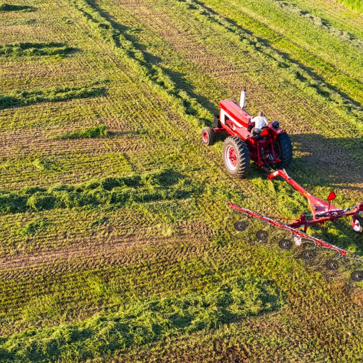 I rincari pesano sull’agricoltura calabrese, prezzi alle stelle per gasolio e fertilizzanti: «Restare è sempre più difficile»\n