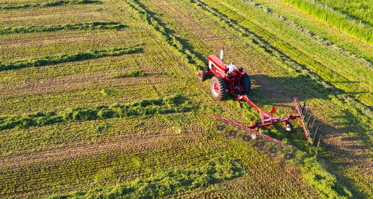 I rincari pesano sull’agricoltura calabrese, prezzi alle stelle per gasolio e fertilizzanti: «Restare è sempre più difficile»\n