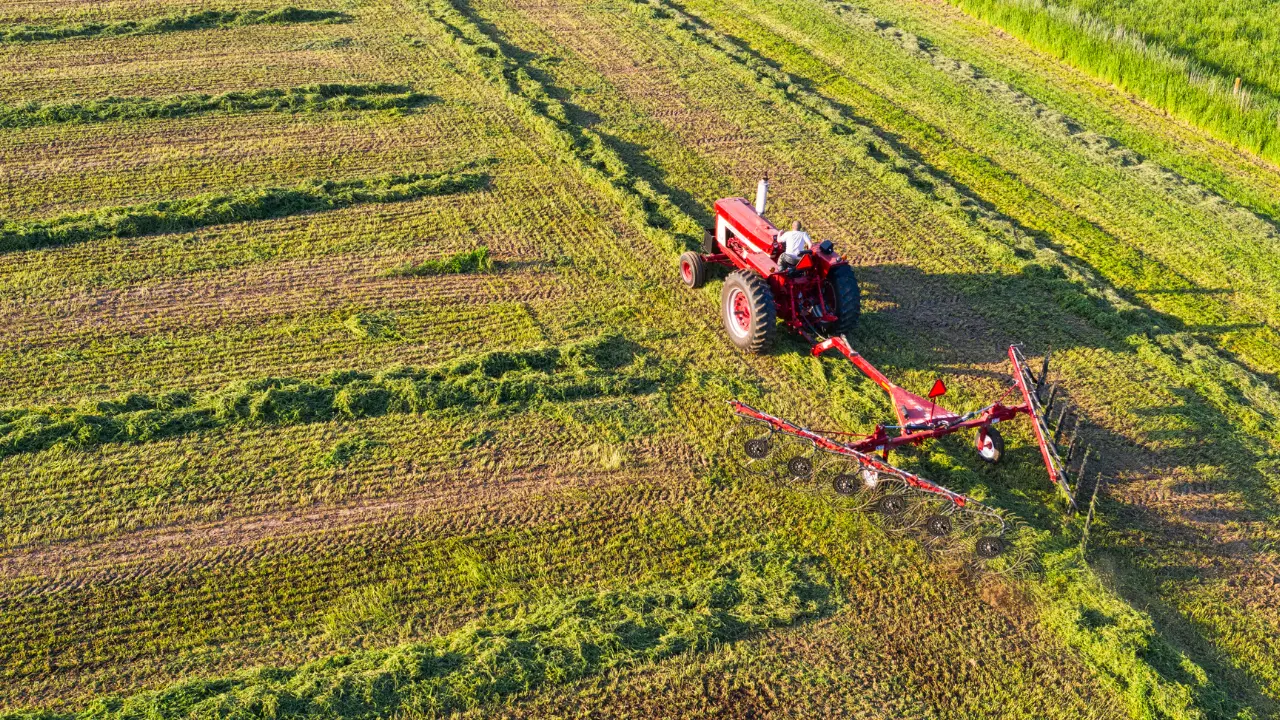 I rincari pesano sull’agricoltura calabrese, prezzi alle stelle per gasolio e fertilizzanti: «Restare è sempre più difficile»\n