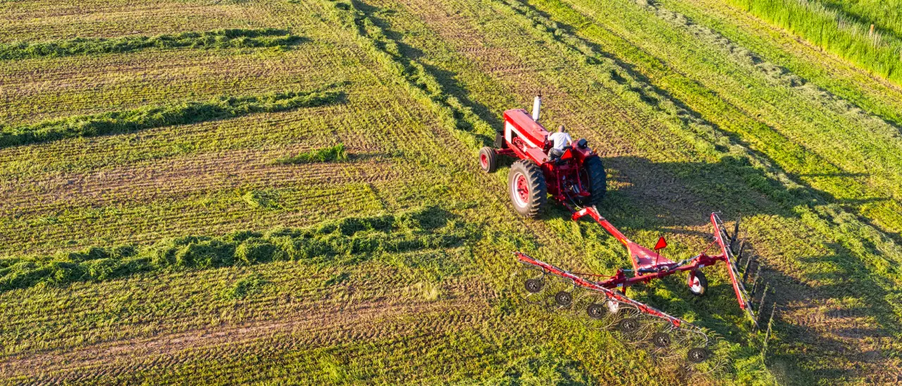 I rincari pesano sull’agricoltura calabrese, prezzi alle stelle per gasolio e fertilizzanti: «Restare è sempre più difficile»\n
