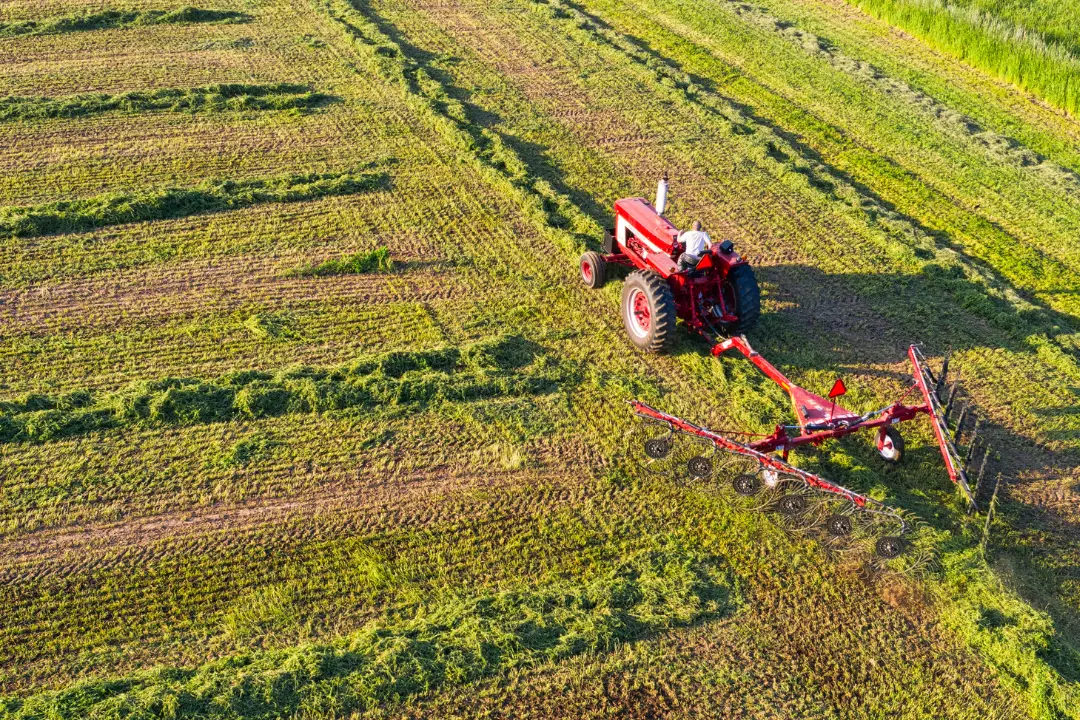 <p>I rincari pesano sull’agricoltura calabrese, <span style=\"color:hsl(0,75%,60%);\">prezzi alle stelle </span>per gasolio e fertilizzanti: «Restare è sempre più difficile»</p>