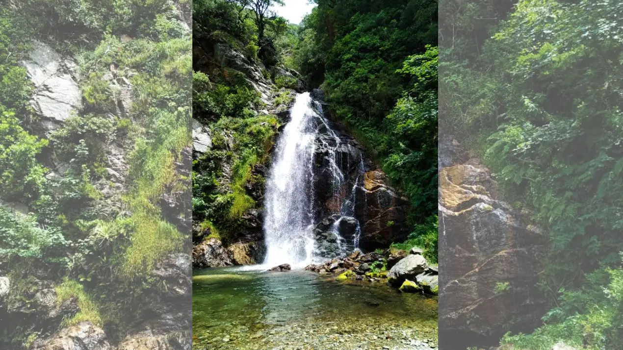 <p>Dalle Serre vibonesi al cuore dell’Aspromonte: l’escursione alla scoperta delle cascate Mundu e Galasia <span style=\"color:hsl(0, 75%, 60%);\">è (quasi) sold out</span></p>