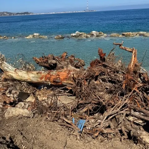 Cannitello, «sparita la sabbia»: il Comitato incalza le istituzioni\n