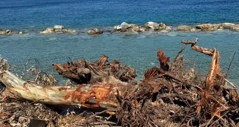 Cannitello, «sparita la sabbia»: il Comitato incalza le istituzioni\n